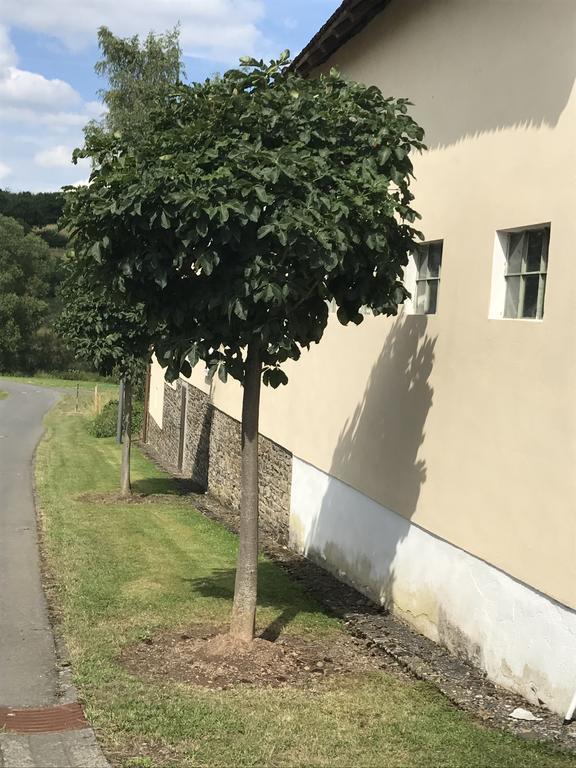 Ferienwohnung Schloessershof Borler ภายนอก รูปภาพ